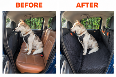 Waterproof Dog Car Seat Cover + Seatbelt Harness Bundle
